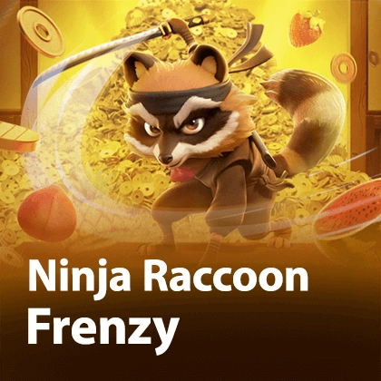 Ninja Raccoon