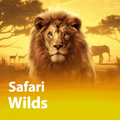 Safari Wilds